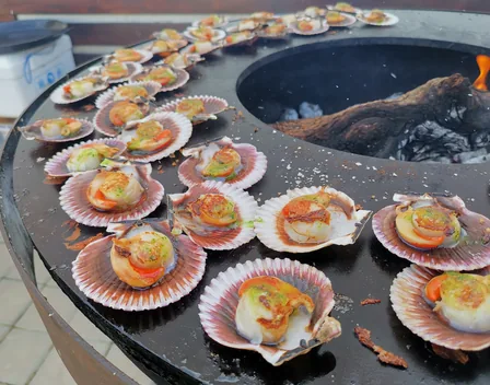 Afuego360 – catering en Murcia (foto 1 de 7)