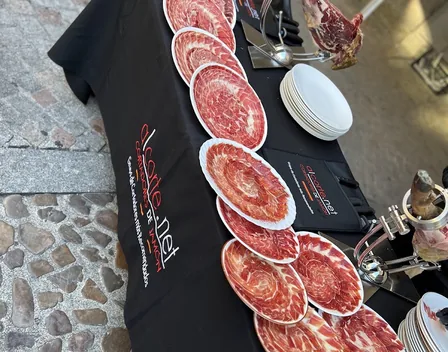 alcorte.net cortadores de jamón – catering en Salamanca (foto 11 de 12)