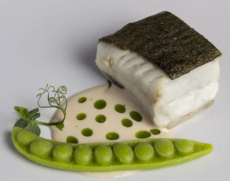 Alquimia Valladolid Eventos – catering en Valladolid (foto 2 de 6)