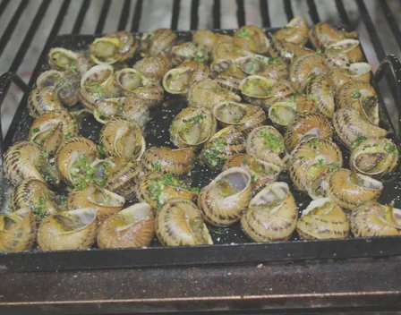 Asador Sanda – catering en Cervera del Río Alhama (foto 11 de 11)