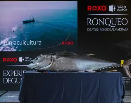 Atún Roxo – catering en A Coruña (foto 3 de 12)