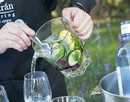 Beltrán Catering – catering en Torrijos (foto 1 de 11)