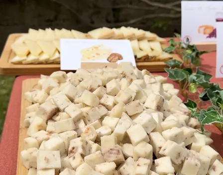 Beltrán Catering – catering en Torrijos (foto 11 de 11)
