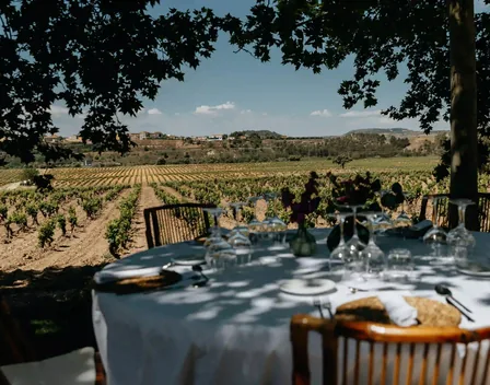 BOAL Eventos – catering en Alberite (foto 5 de 12)