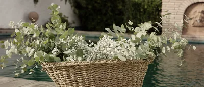 Bolets I Foc Catering Valencia | Bodas y Eventos – catering en La Pobla de Vallbona