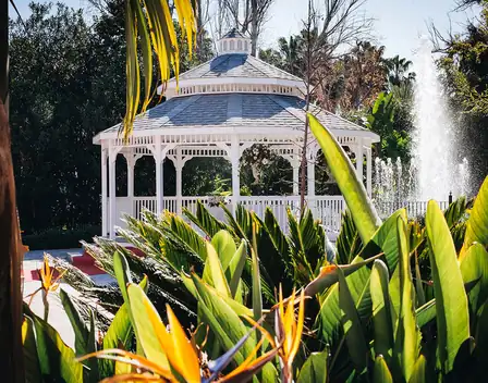 Bolets I Foc Catering Valencia | Bodas y Eventos – catering en La Pobla de Vallbona (foto 11 de 12)