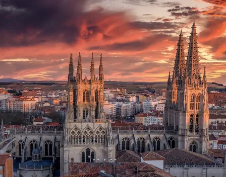 Casa Alicia | Vinos, quesos, y embutidos de alta calidad. – catering en Burgos (foto 4 de 5)