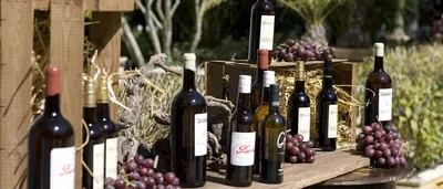 Catering Chacón – catering en Sanlúcar de Barrameda