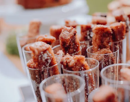 Catering Fuensanta – catering en Santovenia de la Valdoncina (foto 8 de 9)