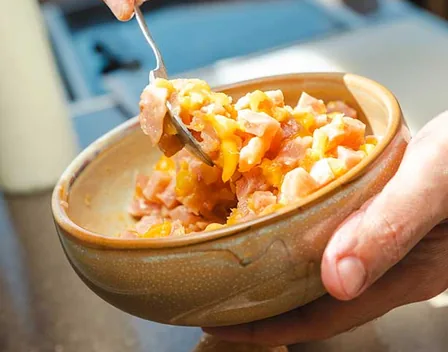Catering Fusiónica – catering en Baleares (foto 7 de 10)