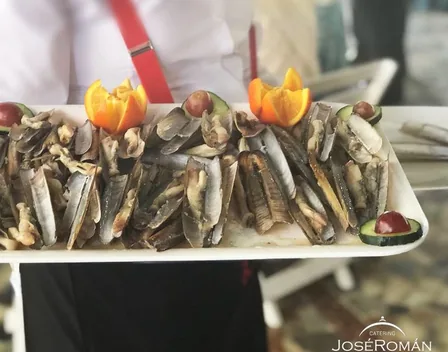 Catering José Román – catering en Sevilla