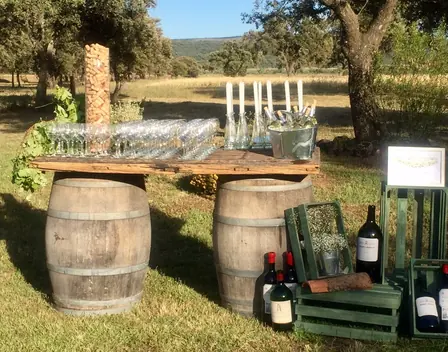 Catering Moraleda – catering en Piedrabuena (foto 10 de 12)