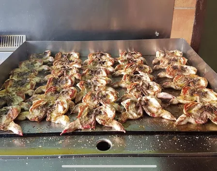 Catering Moraleda – catering en Piedrabuena (foto 6 de 12)