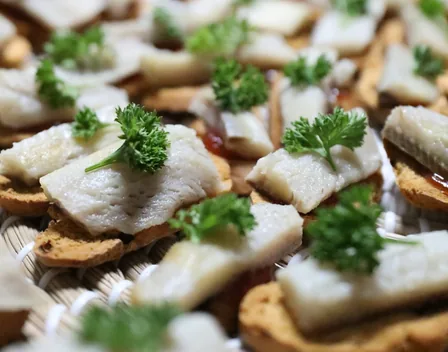 Catering Rabanal – catering en La Campana (foto 5 de 12)