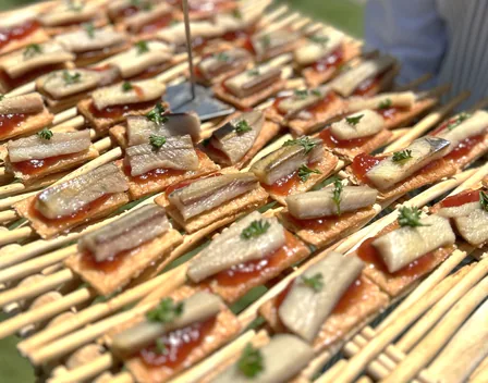 Catering Rabanal – catering en Málaga (foto 10 de 12)