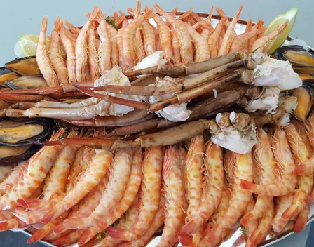 Catering Roberto – catering en Sevilla (foto 3 de 12)