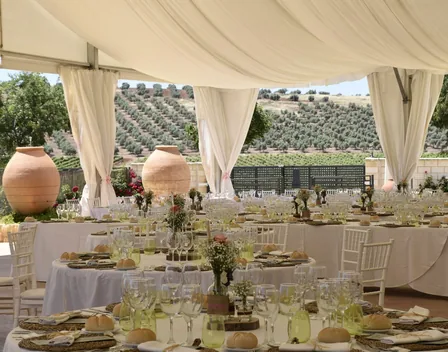 Catering Santa Cruz – catering en Santa Cruz de Mudela (foto 7 de 8)