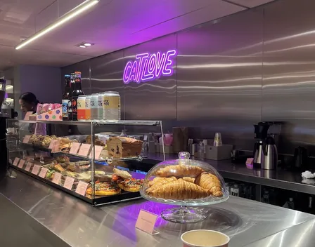 Catlove Coffee – catering en Centro (foto 1 de 3)