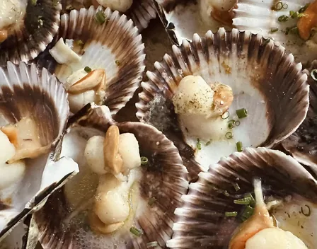 Cillero Catering – catering en Nte. Sierra (foto 6 de 12)