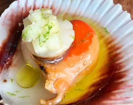 Dani Donato Servicios Gastronómicos – catering en Carballas, 17 (foto 9 de 11)