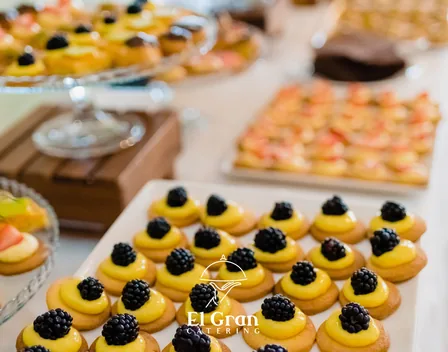 El Gran Catering - Valencia – catering en L'Olivereta (foto 11 de 12)
