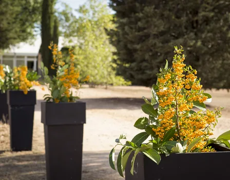 El Jardín de Paramo – catering en Salamanca (foto 5 de 11)
