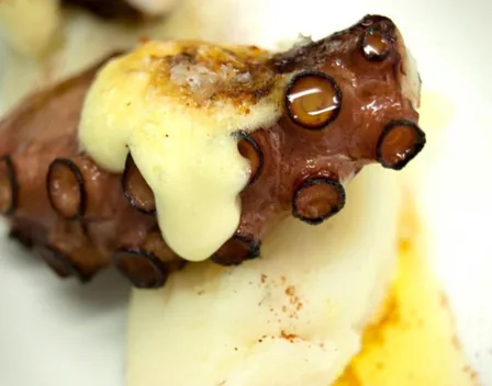 el vuit – catering en Girona (foto 1 de 10)