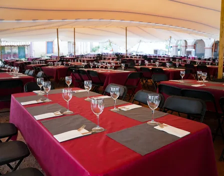 ELASTIC TENTS – catering en Viator (foto 11 de 12)