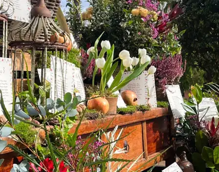 Finca El Capricho – catering en Córdoba (foto 4 de 12)