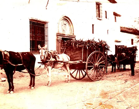 Finca La Marquesa – catering en Granada (foto 4 de 12)