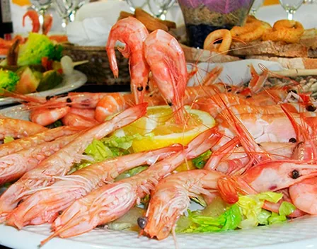 Finca La Pinada – catering en Molina de Segura (foto 12 de 12)