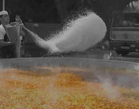 Galbis Paellas Gigantes – catering en L'Alcúdia (foto 4 de 4)