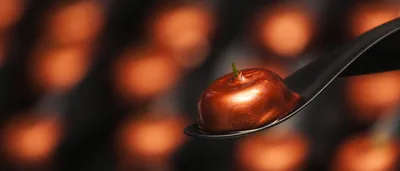 Grupo Bokado – catering en Hondarribia