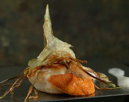 Grupo Bokado – catering en Hondarribia (foto 10 de 10)