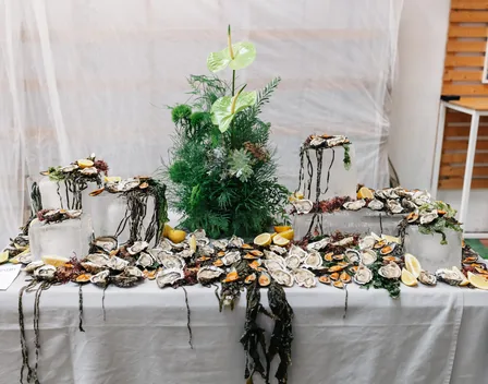 Gula Catering – catering en Valencia (foto 5 de 12)