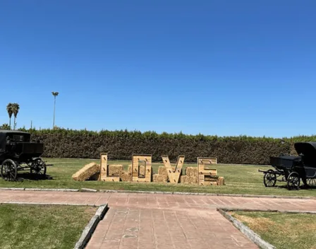 Hacienda Pando – catering en Bollullos de la Mitación (foto 4 de 12)
