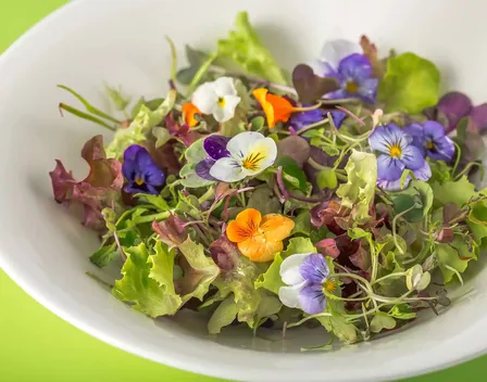 Isabel Maestre Catering – catering en C. de Matilde Landa, 13 (foto 1 de 12)