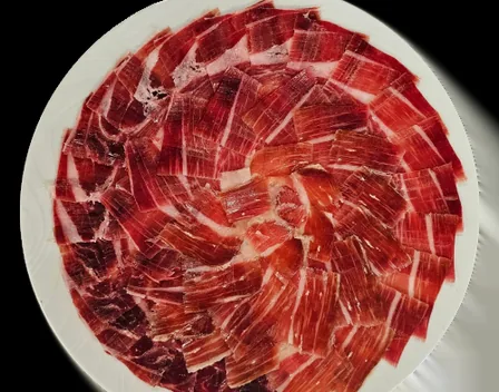 Jamonero on Tour - Cortador de Jamón – catering en Alicante (foto 1 de 12)