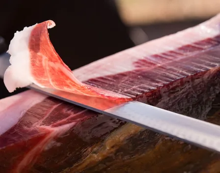 Jamonero on Tour - Cortador de Jamón – catering en Alicante (foto 11 de 12)