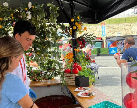 KTR Servicios – catering en Bera (foto 6 de 10)