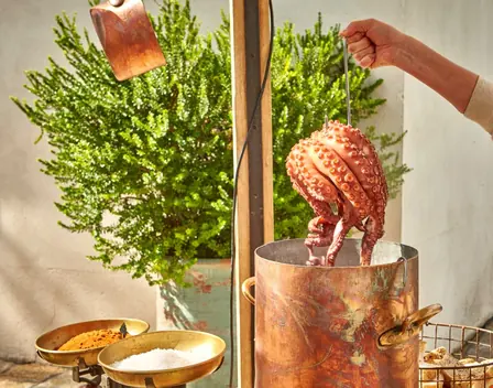 Lhardy Catering – catering en Moncloa - Aravaca (foto 7 de 12)
