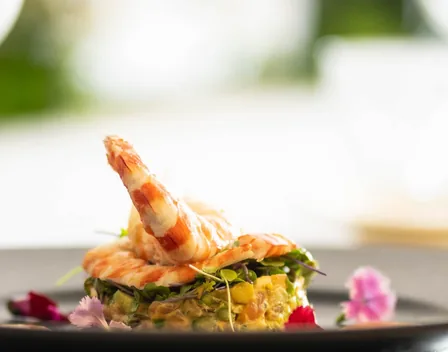 MALLORCA CATERING – catering en Alcobendas (foto 7 de 11)