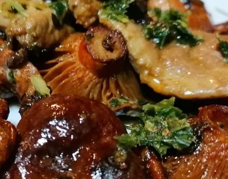 MARIAFOGONES CATERING CASERO – catering en Gràcia (foto 11 de 12)