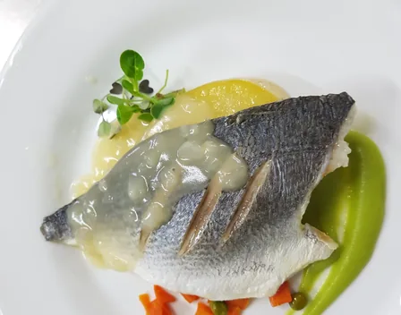 Matalahúva Catering – catering en Alcalá de Guadaíra (foto 1 de 12)