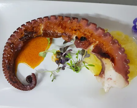 Matalahúva Catering – catering en Alcalá de Guadaíra (foto 2 de 12)