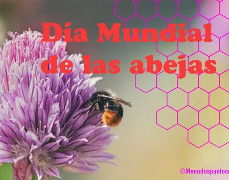 Menudospuntocero – catering en Mungia (foto 9 de 11)