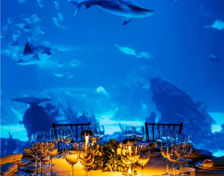 MICE Catering – catering en San Sebastián de los Reyes (foto 9 de 12)