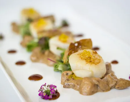 Millor a Casa – catering en Girona (foto 9 de 12)