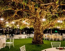 Miona events sl – catering en Fondarella (foto 1 de 6)