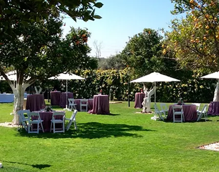 Muelle 21 Catering Sevilla – catering en Sevilla (foto 7 de 12)